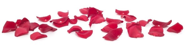 płatki róż